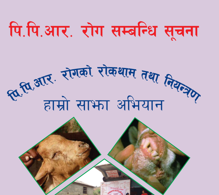 पी.पी.आर